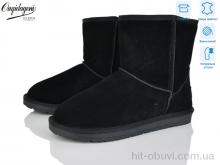 Угги Dageni DA5876-1