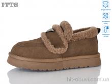 Угги ITTS 2575 brown