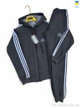 Спортивний костюм Sport style Ads т.сірий