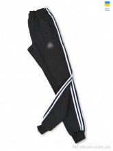 Спортивні штаны Sport style 001-1 AD т.сірий