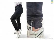 Спортивні штаны Sport style 80030 чорний