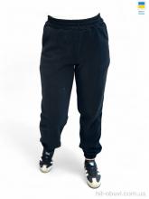 Спортивні штаны Sport style 3057 чорний