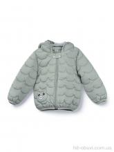 Куртка Мир 3791-8 green