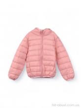 Куртка Мир 3791-19 pink
