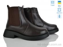 Черевики Golden Natali Челсі шок.и.м.