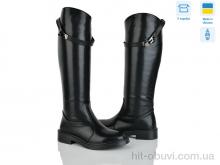 Чоботи Ailinda 05006-2ДБ