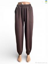 Спортивні штаны Sport style 1055 шоколад