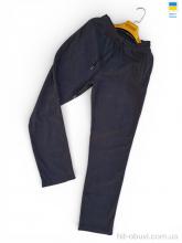 Спортивные брюки Sport style 20-1Pu т.сірий