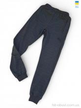 Спортивные брюки Sport style 02Pu т.сірий