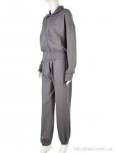 Спортивный костюм Мир 4175 grey