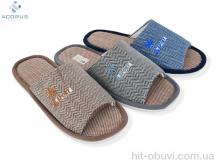 Капці Acorus, H95 mix