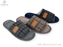 Капці Acorus, H92 mix