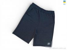 Шорты Sport style 02NK т.сірий