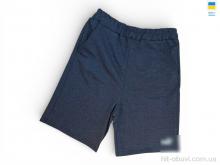 Шорты Sport style 02PM т.сірий