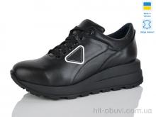 Кроссовки Carolina 2019-1