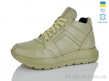 Кроссовки Carolina 2040-6