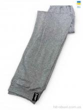 Спортивные брюки Sport style 10030 св.сірий