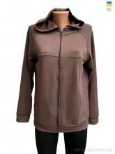 Батник Sport style 111 шоколадний