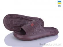 Шльопанці Golden Lion 144 шоколадний