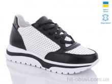 Кроссовки Carolina 2336-1G