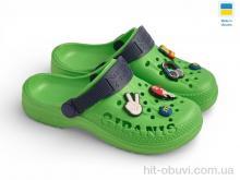 Крокси Rai shoes 009 зелений