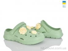 Крокси Golden Lion 411 фісташки