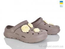 Крокси Golden Lion 411 капучино