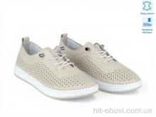 Кросівки Allshoes 211512