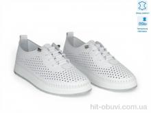 Кросівки Allshoes 211676