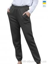 Спортивные брюки Sport style 1055 графіт