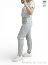 Спортивные брюки Sport style 1055-1NI св.сірий