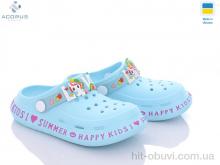 Крокси Acorus 005 l.blue