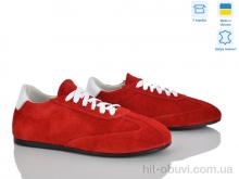 Кросівки Ailinda 423-19