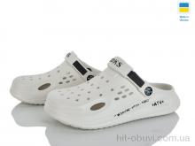 Кроксы Golden Lion 517-009