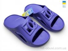 Шльопанці Rai shoes 253 вістерія