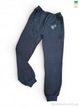 Спортивные брюки Sport style 12AD графіт