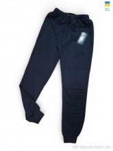 Спортивные брюки Sport style 22UA чорний