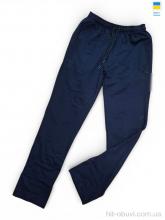 Спортивные брюки Sport style 01UA т.синій