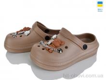 Кроксы Golden Lion 312-3 miy мокко