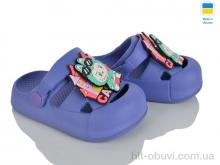 Кроксы Golden Lion 337 вістерія