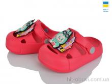 Кроксы Golden Lion 337 малинка