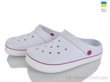 Кроксы Golden Lion 419 білий-ягідний