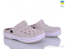 Кроксы Golden Lion 324 бежевий