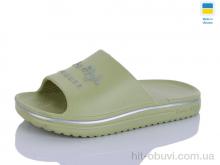 Шлепки Progress Роксол Д506-016