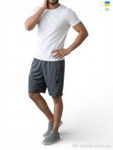 Шорты Sport style 05NI сірий
