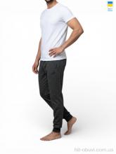 Спортивные брюки Sport style 22NI т.сірий