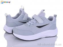 Кросівки Bessky-Kellaifeng BY5236-5D