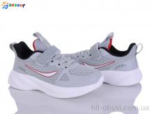 Кросівки Bessky-Kellaifeng BY5163-3C