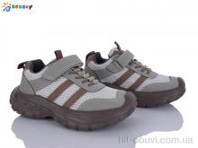 Кросівки Bessky-Kellaifeng BY5108-2C