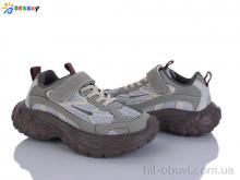 Кросівки Bessky-Kellaifeng BY5107-3C